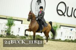 24BUCK_11841 proof