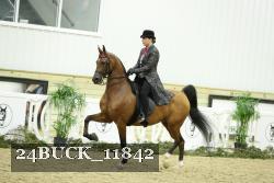 24BUCK_11842 proof