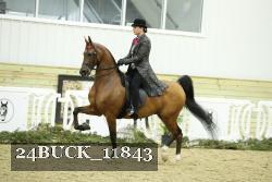 24BUCK_11843 proof