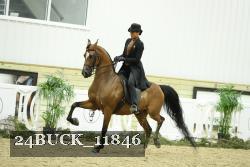 24BUCK_11846 proof