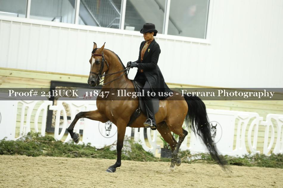 Proof 24BUCK_11847