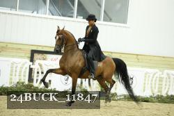 24BUCK_11847 proof
