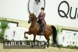 24BUCK_11848 proof
