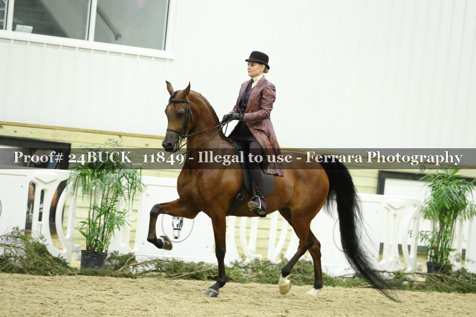 Proof 24BUCK_11849