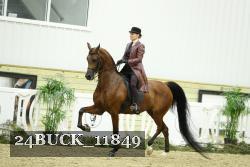 24BUCK_11849 proof