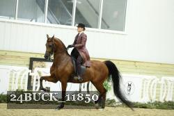 24BUCK_11850 proof
