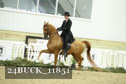 24BUCK_11851 proof