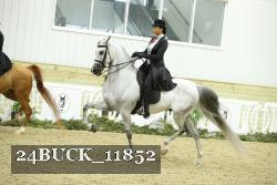 24BUCK_11852 proof