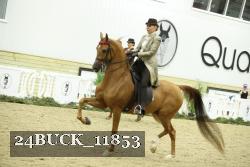 24BUCK_11853 proof