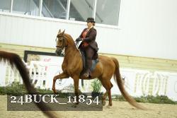 24BUCK_11854 proof