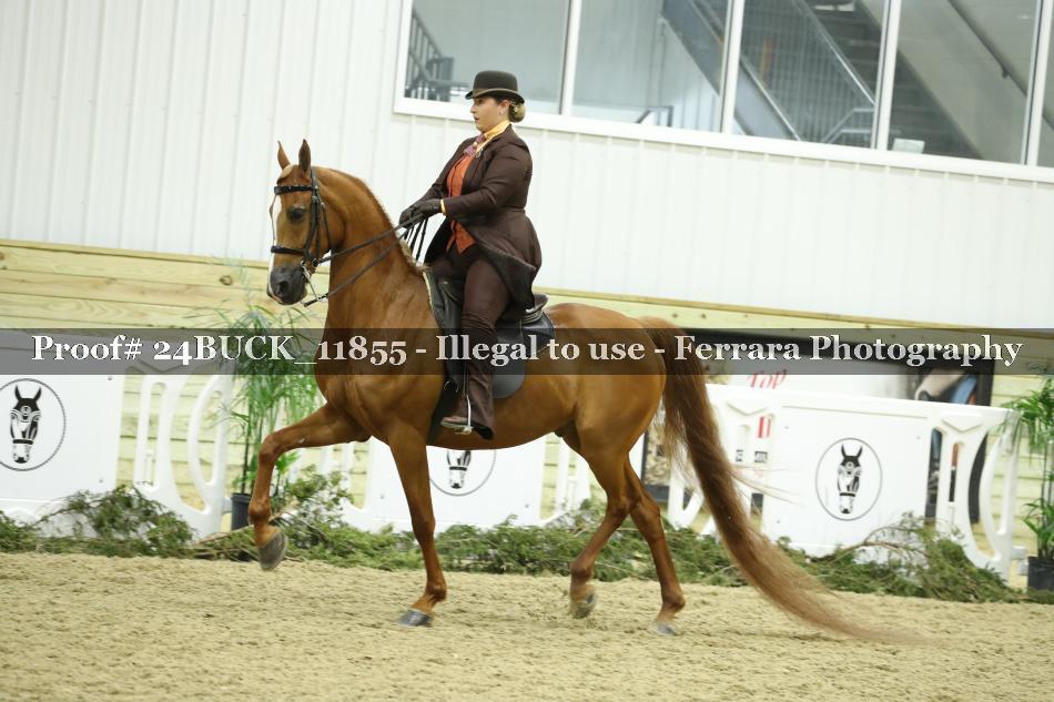 Proof 24BUCK_11855