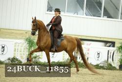 24BUCK_11855 proof