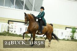 24BUCK_11858 proof