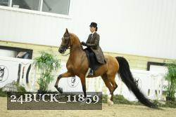 24BUCK_11859 proof