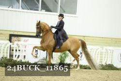 24BUCK_11865 proof