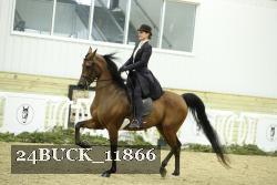 24BUCK_11866 proof