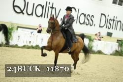 24BUCK_11870 proof
