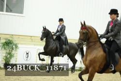 24BUCK_11871 proof