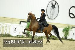 24BUCK_11872 proof