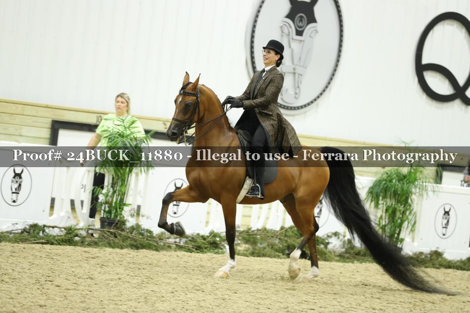 Proof 24BUCK_11880