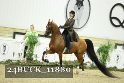 24BUCK_11880 proof
