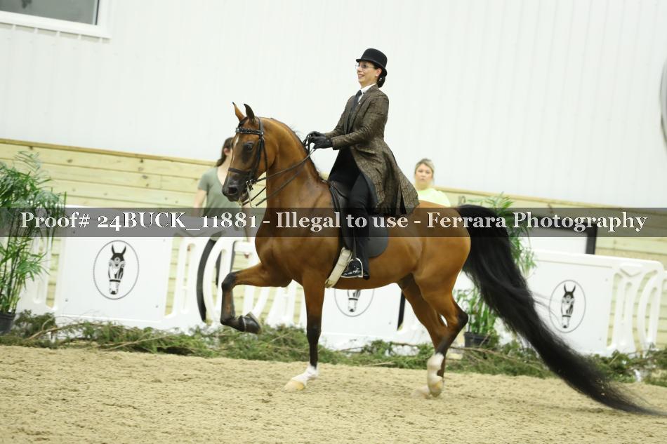 Proof 24BUCK_11881