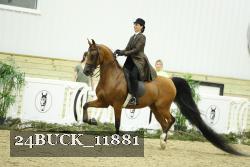 24BUCK_11881 proof