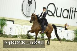 24BUCK_11882 proof