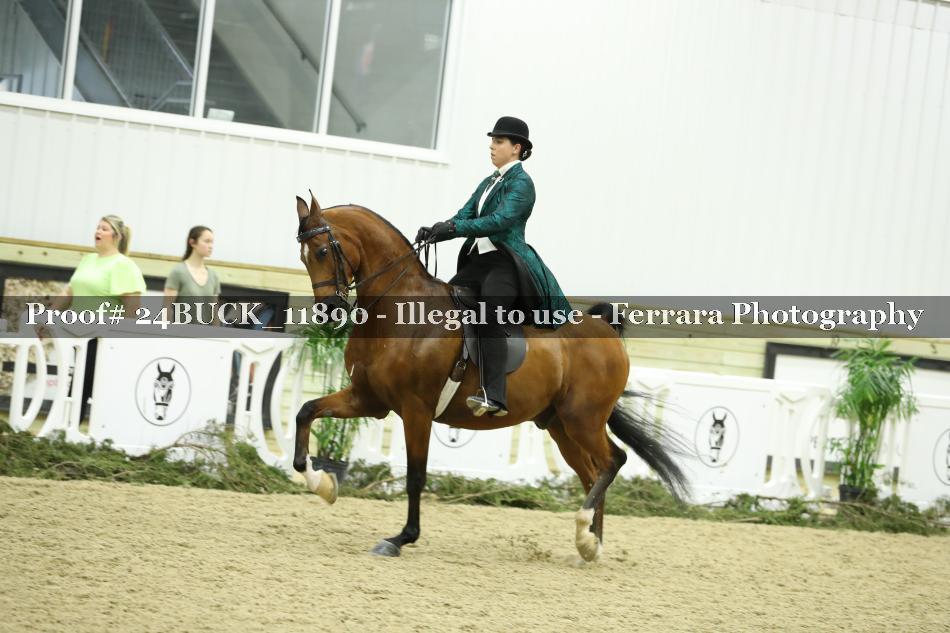 Proof 24BUCK_11890