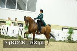 24BUCK_11890 proof