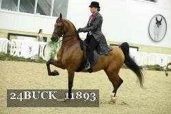 24BUCK_11893 proof