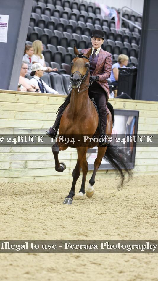 Proof 24BUCK_11894