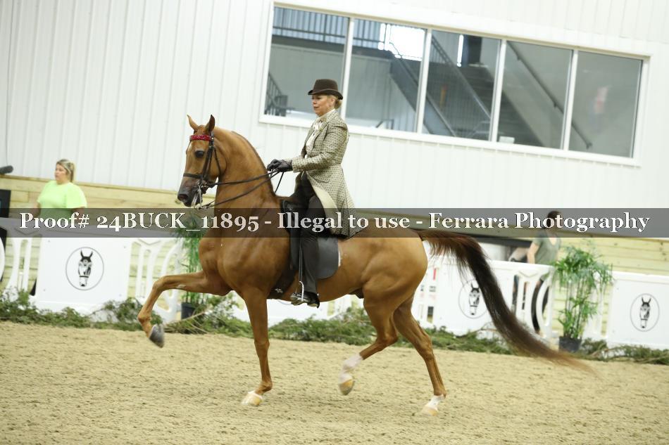 Proof 24BUCK_11895