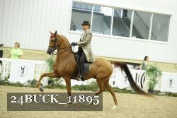 24BUCK_11895 proof