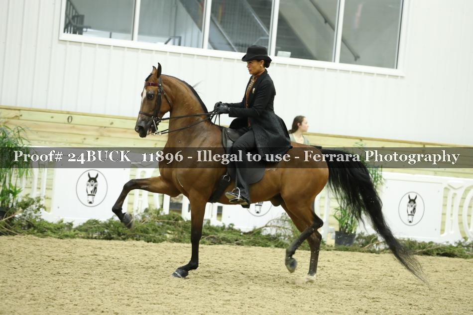 Proof 24BUCK_11896