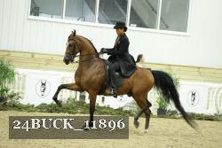 24BUCK_11896 proof