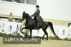 24BUCK_11897 proof