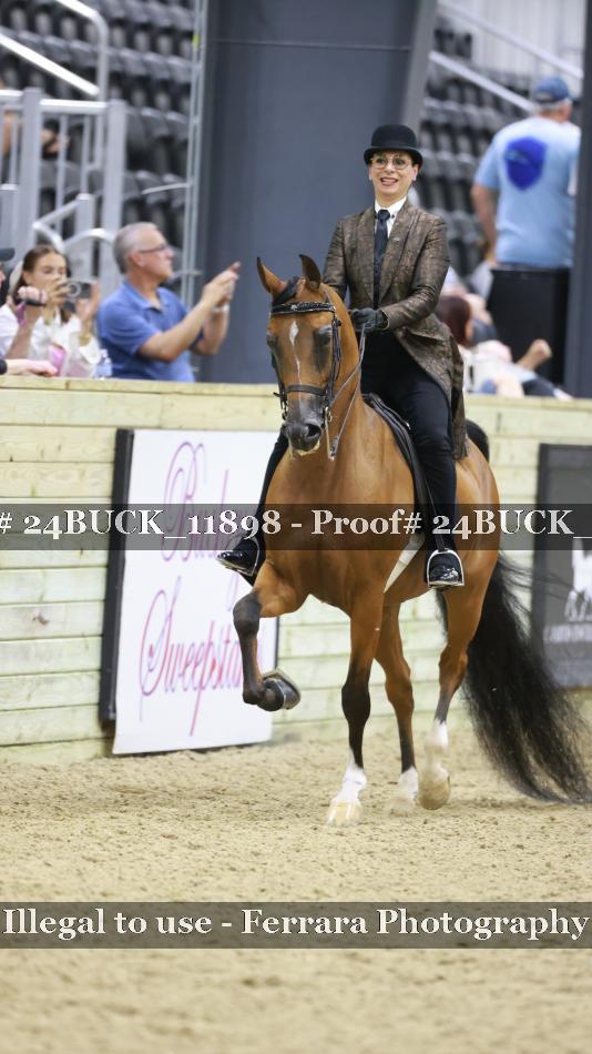 Proof 24BUCK_11898