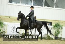 24BUCK_11900 proof
