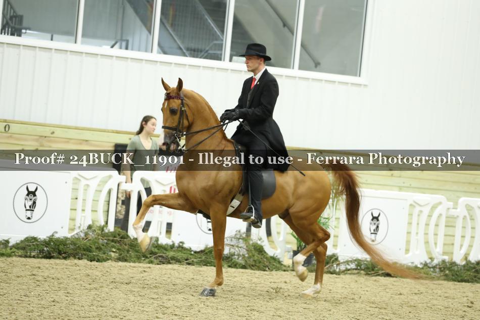 Proof 24BUCK_11901