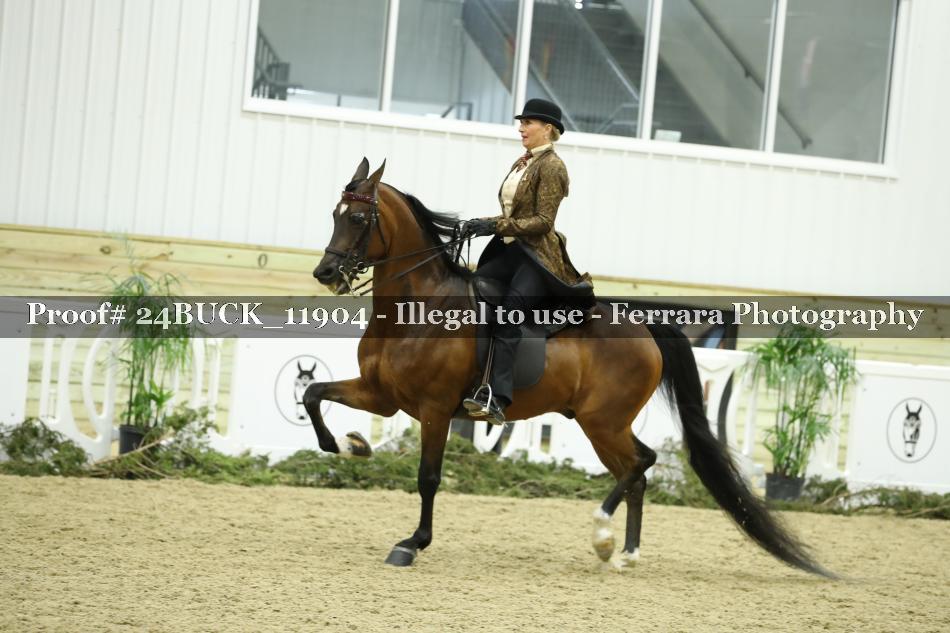 Proof 24BUCK_11904