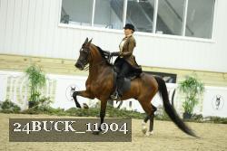 24BUCK_11904 proof