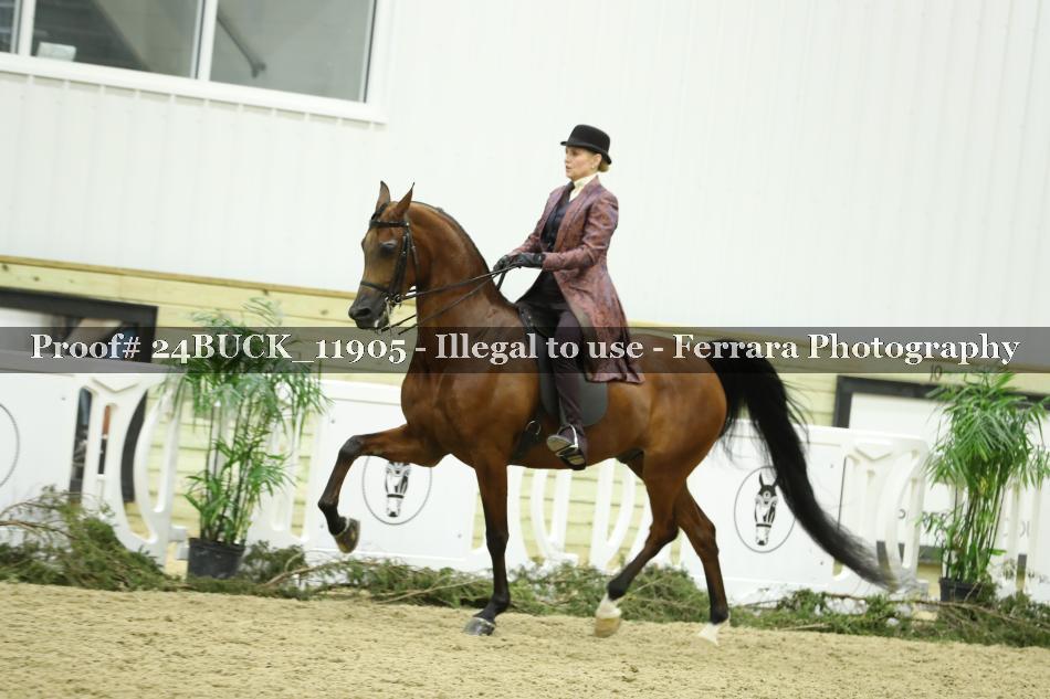 Proof 24BUCK_11905