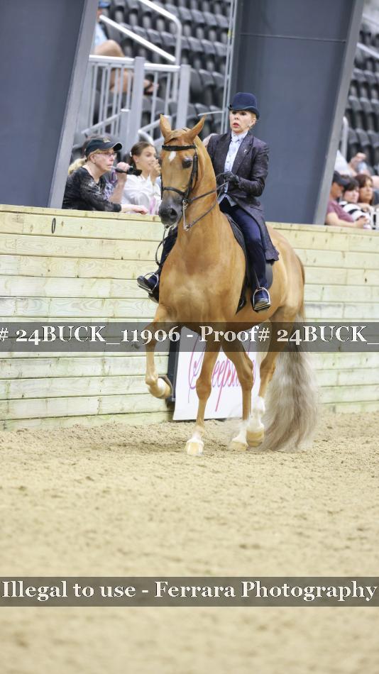 Proof 24BUCK_11906