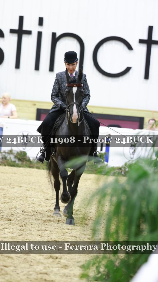 Proof 24BUCK_11908