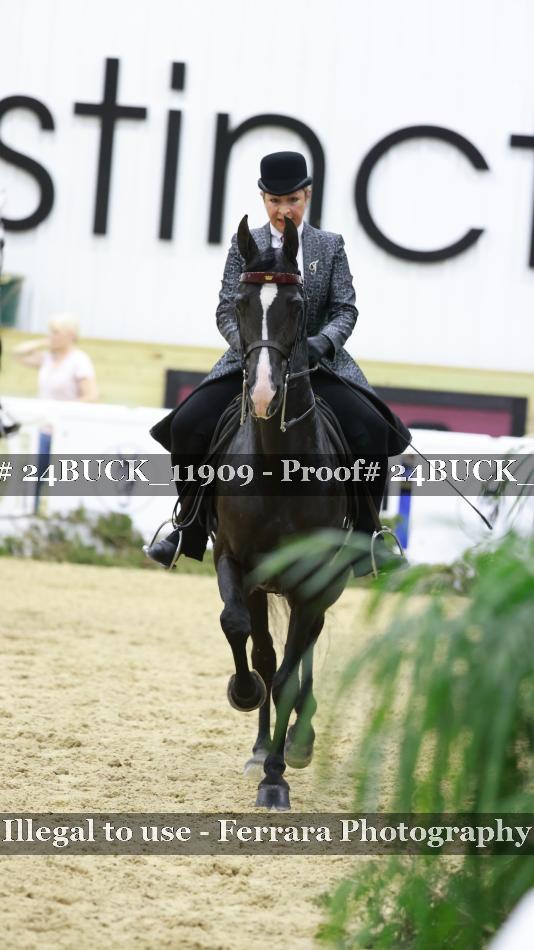 Proof 24BUCK_11909