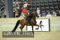 24BUCK_11915 proof