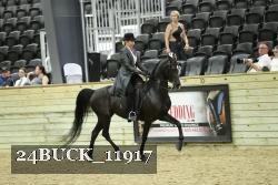 24BUCK_11917 proof