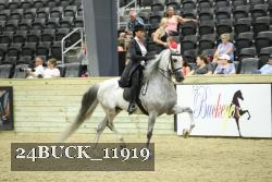 24BUCK_11919 proof