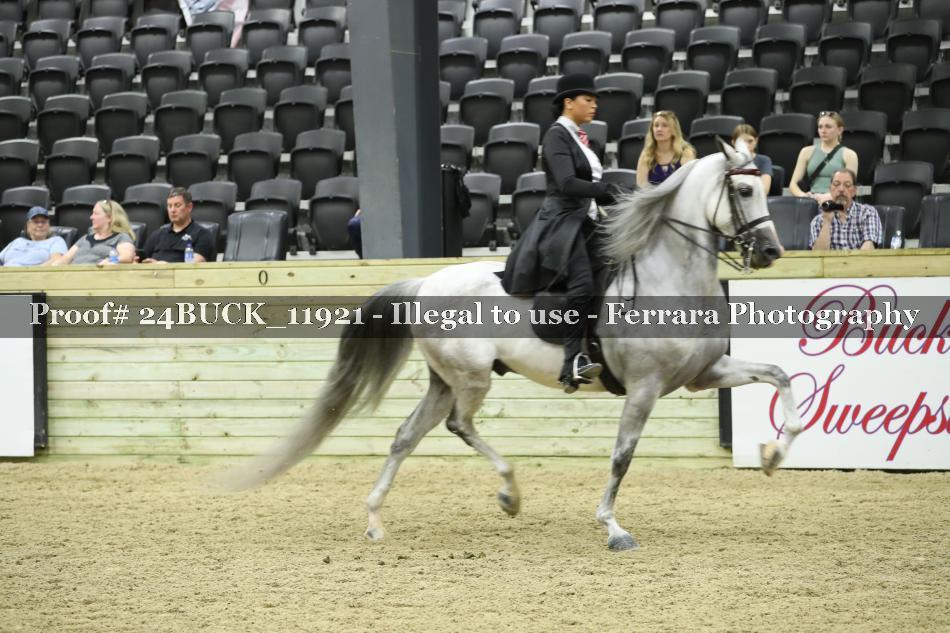 Proof 24BUCK_11921